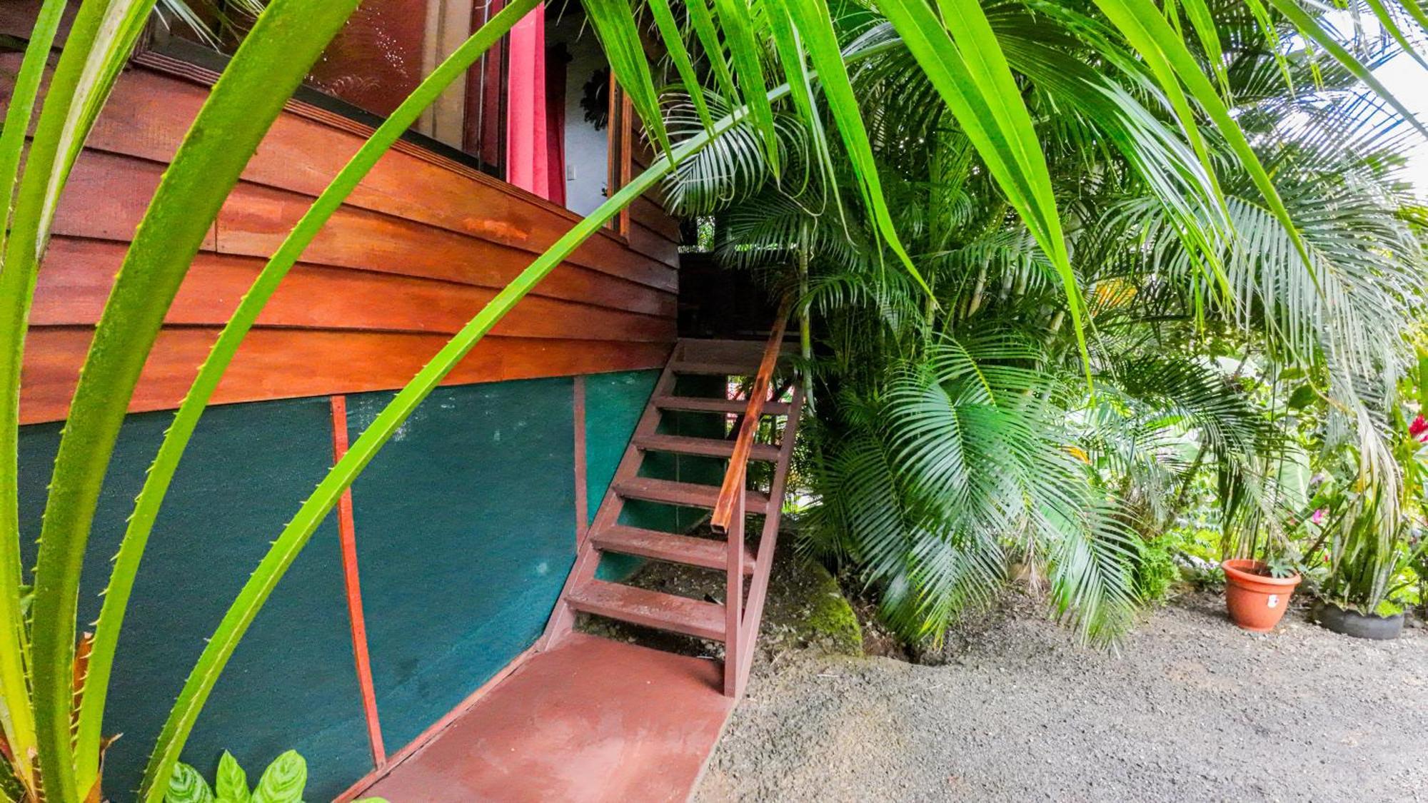 Bungalows Las Iguanas Arenal Volcano La Fortuna Ngoại thất bức ảnh