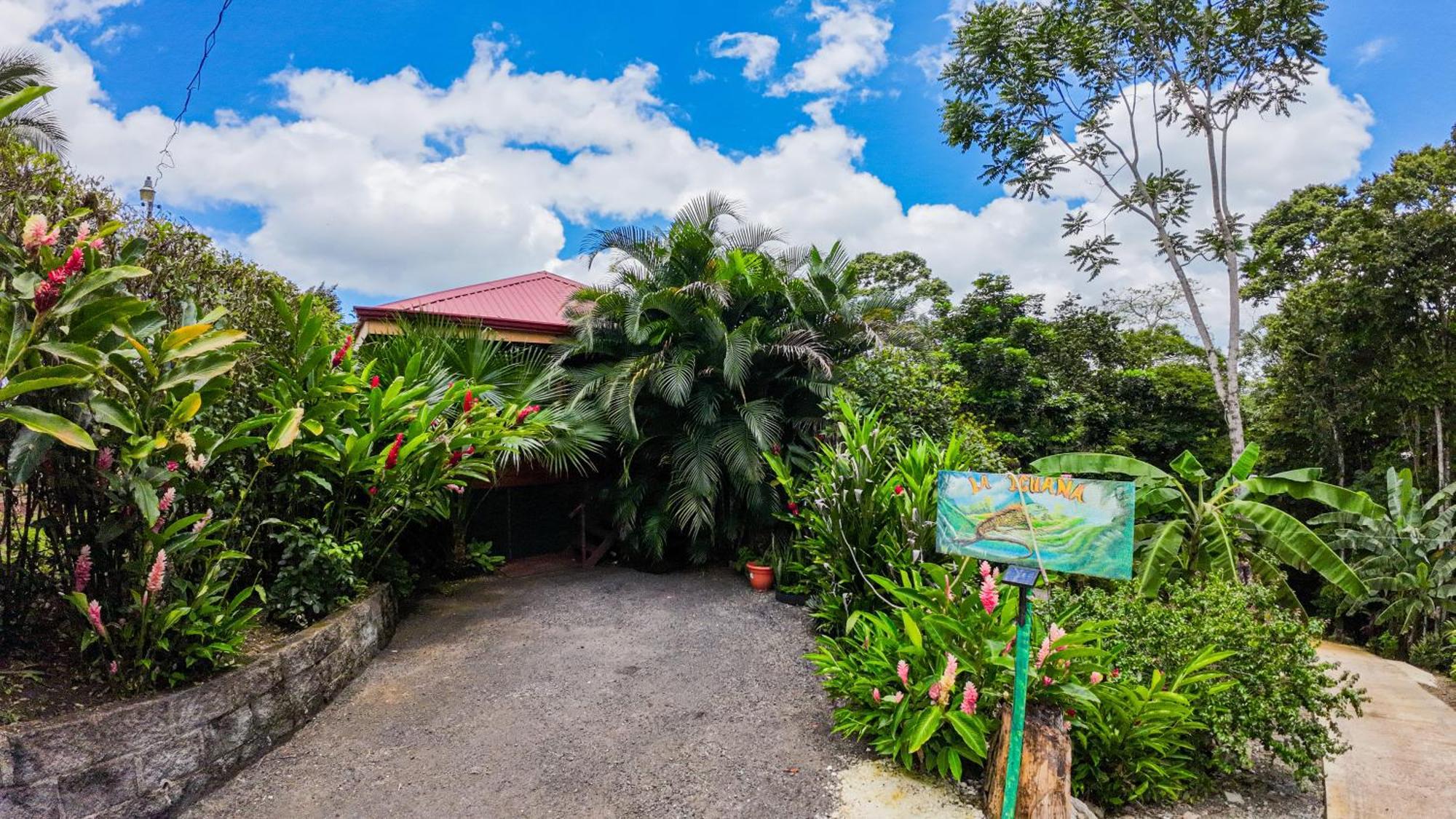 Bungalows Las Iguanas Arenal Volcano La Fortuna Ngoại thất bức ảnh