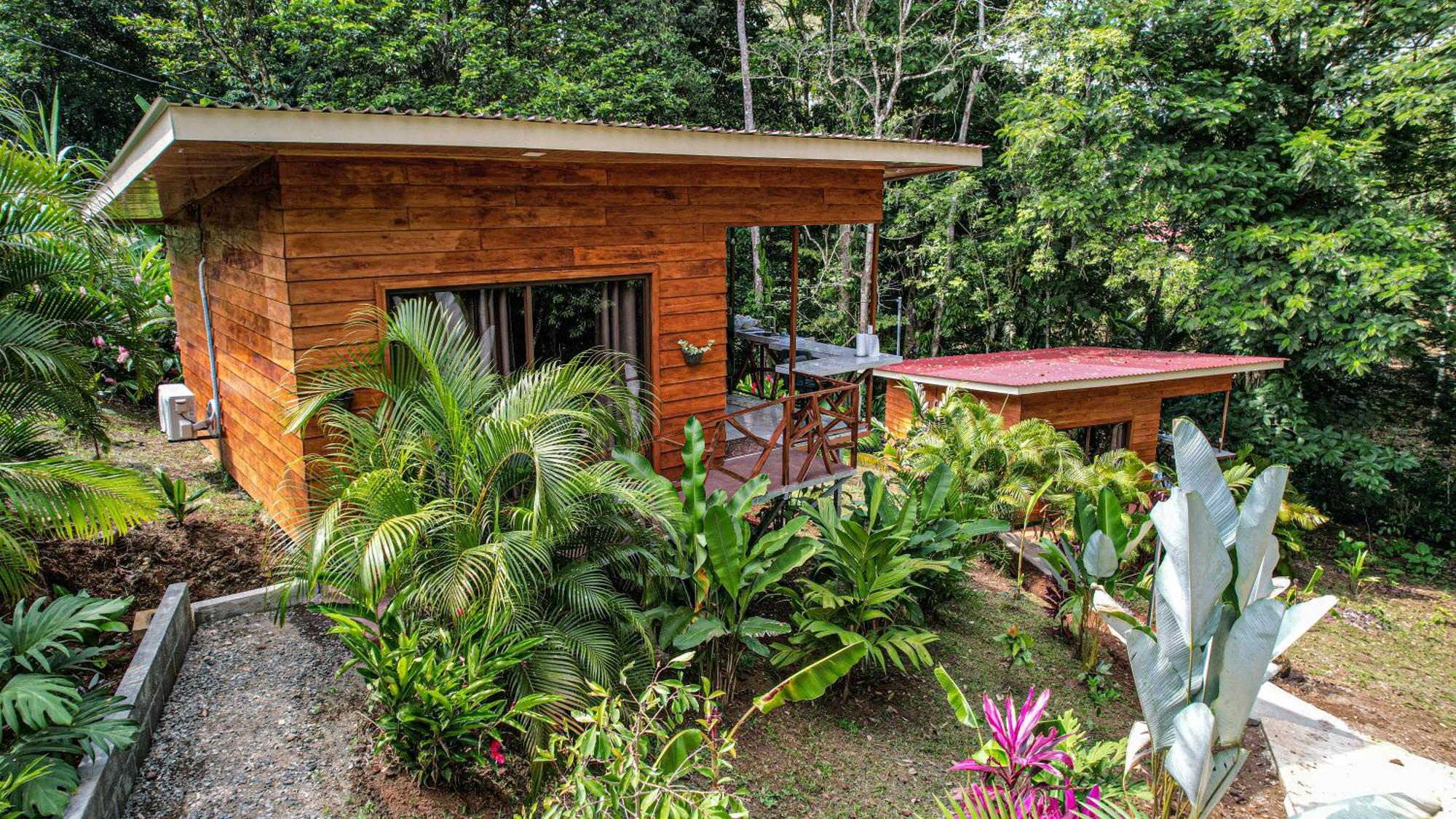 Bungalows Las Iguanas Arenal Volcano La Fortuna Ngoại thất bức ảnh