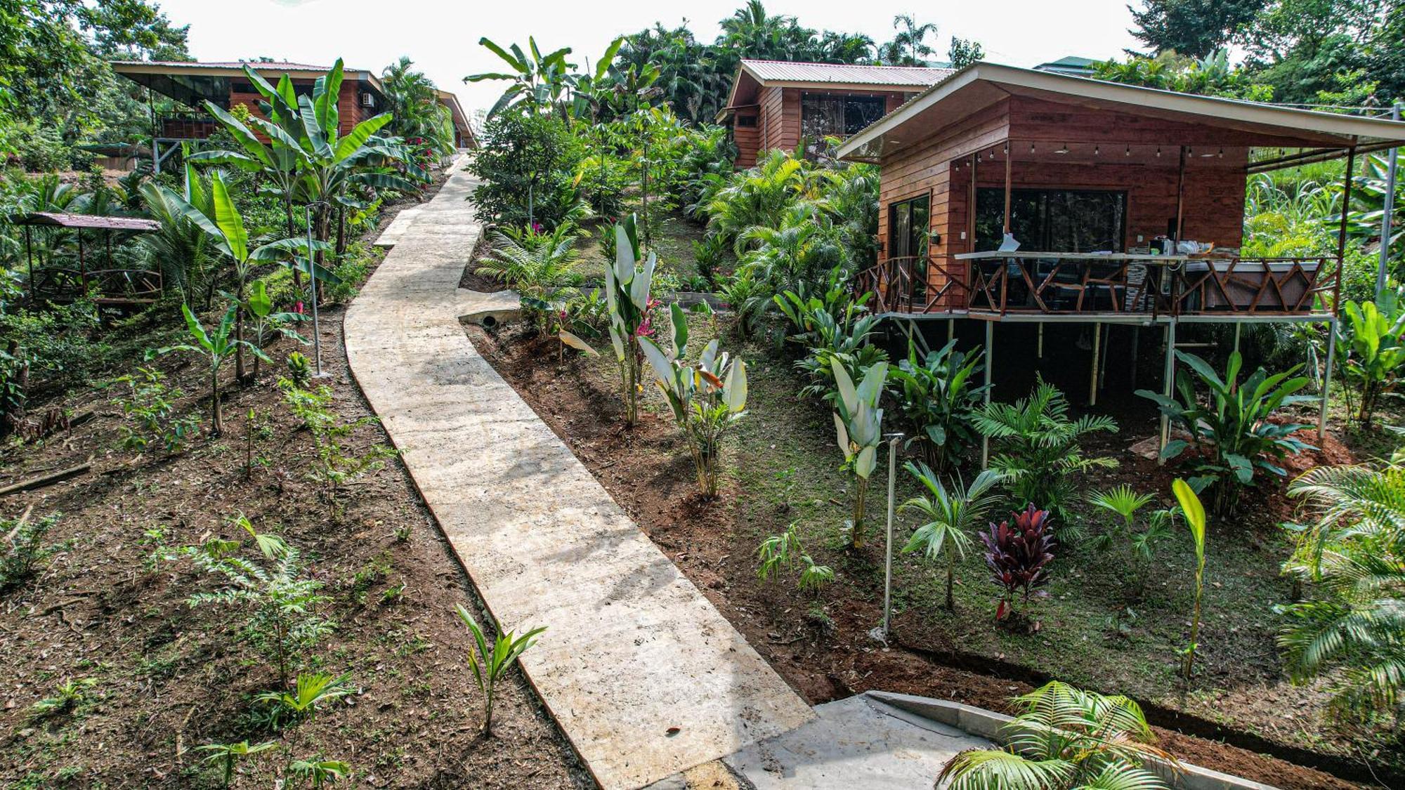 Bungalows Las Iguanas Arenal Volcano La Fortuna Ngoại thất bức ảnh