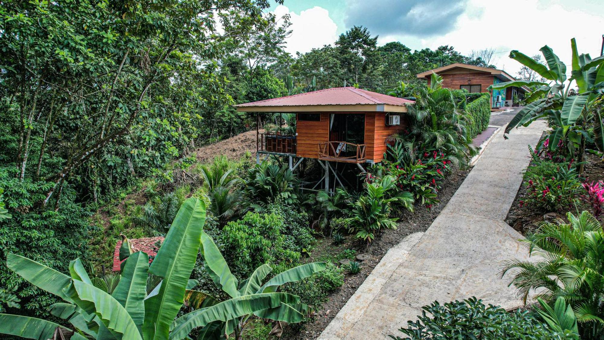 Bungalows Las Iguanas Arenal Volcano La Fortuna Ngoại thất bức ảnh