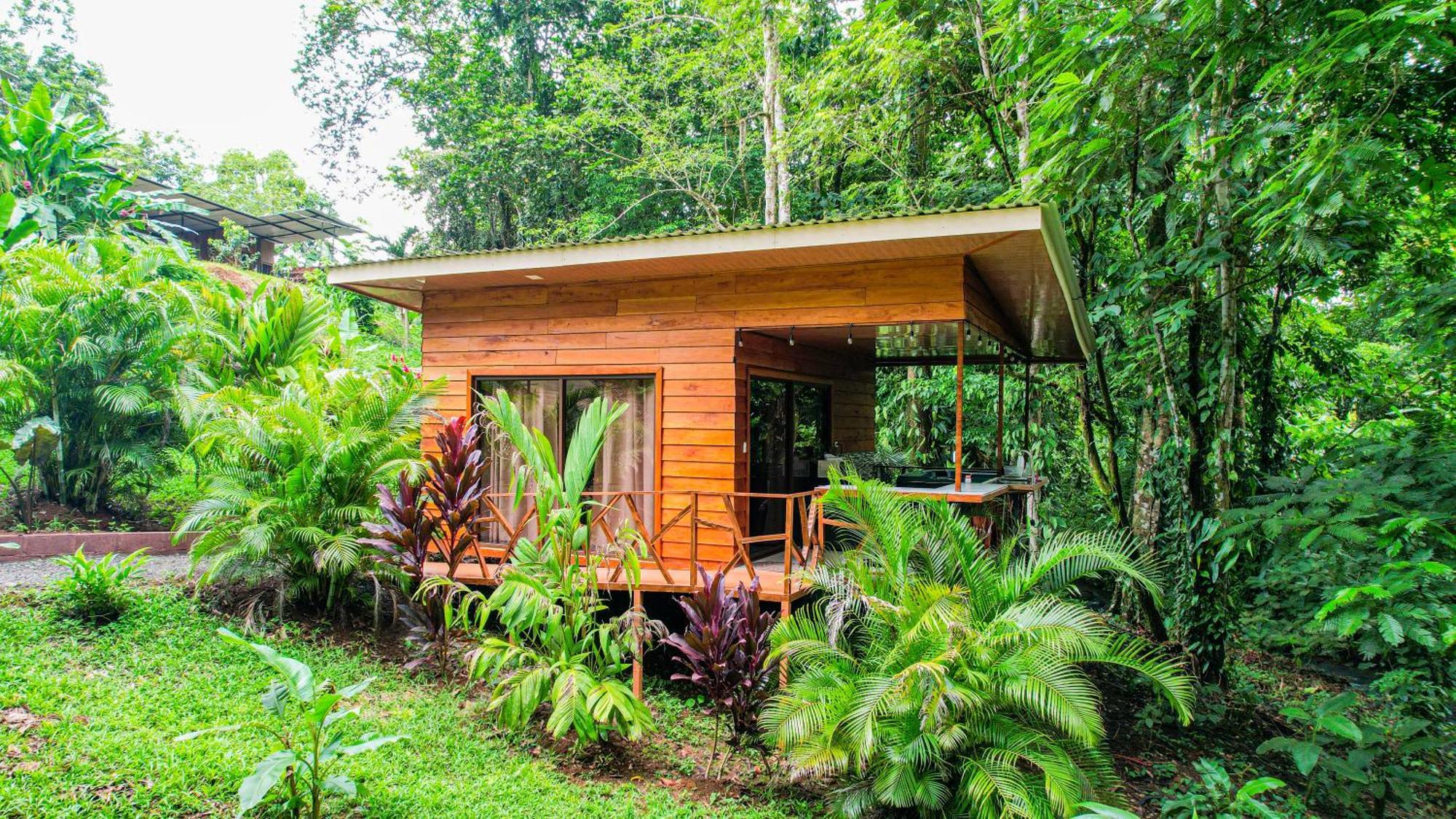 Bungalows Las Iguanas Arenal Volcano La Fortuna Ngoại thất bức ảnh